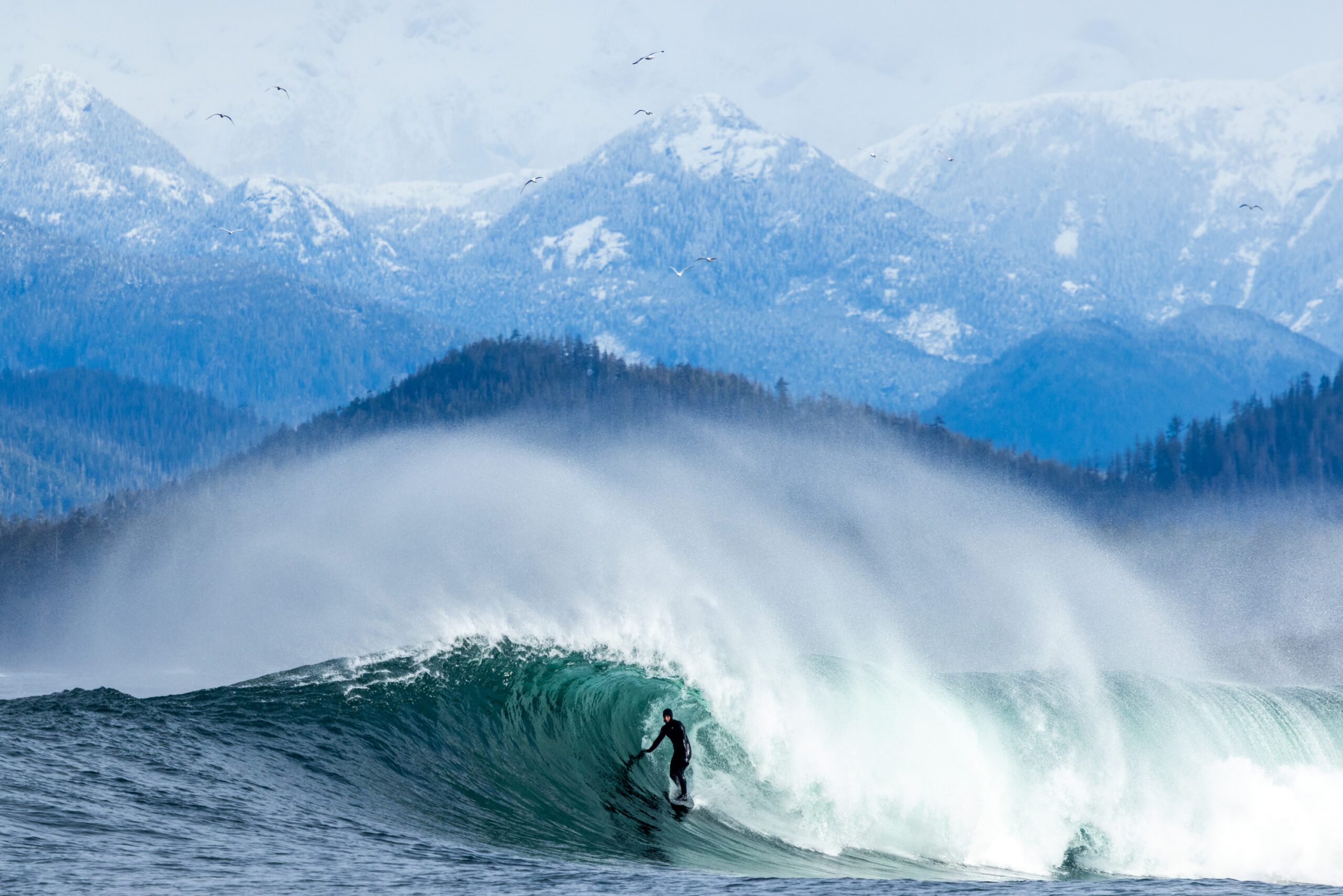 PALADINO_MARCUS_KALUMBRUHWILER_CANADA_ 20250314 - Marcus Paladino 5