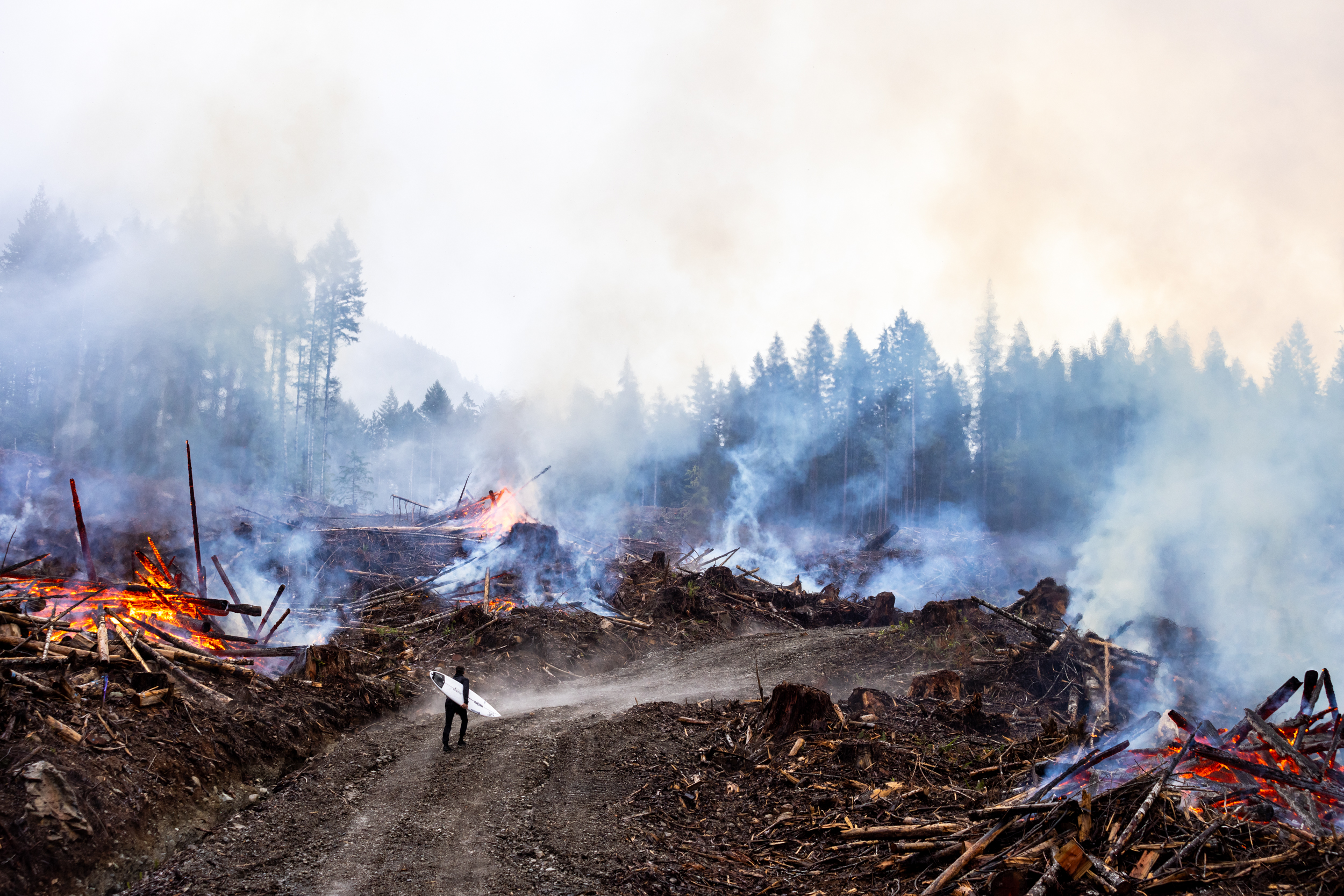 PALADINO_MARCUS_PETEDEVRIES_CANADA_ 20241101 - Marcus Paladino 4